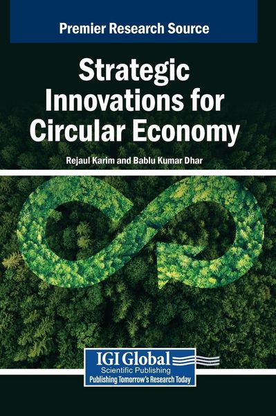 Produktbild: Strategic Innovations for Circular Economy
