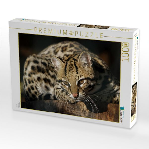 Produktbild: CALVENDO Puzzle Ozelot | 1000 Teile Lege-Gr&ouml;&szlig;e 64x48cm Foto-Puzzle f&uuml;r gl&uuml;ckliche Stunden