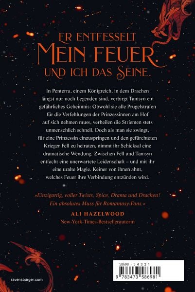 Produktbild: A Fire in the Sky - Feuerschwur-Chroniken, Band 1