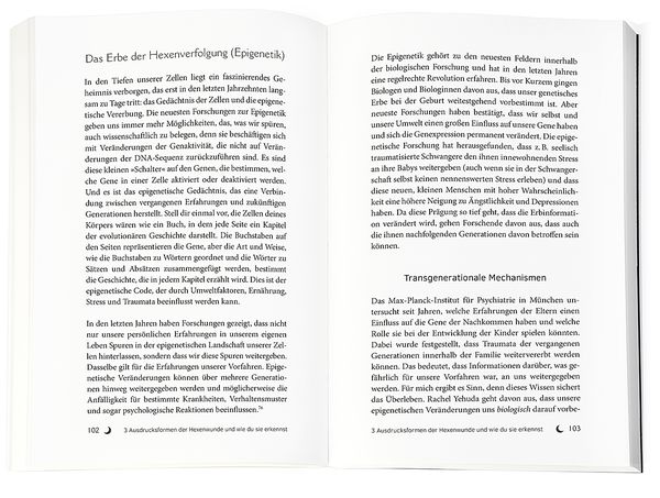 Produktbild: Die Hexenwunde