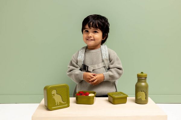 Produktbild: Snackbox - 3er-Set - Mr. Dino