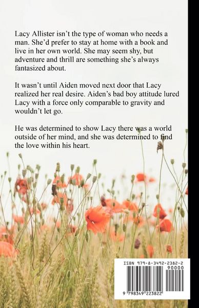 Produktbild: The Summer We Loved