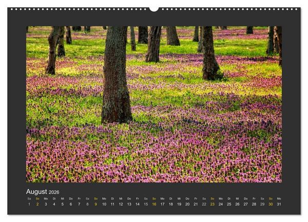 Produktbild: Poesie der Natur (hochwertiger Premium Wandkalender 2026 DIN A2 quer), Kunstdruck in Hochglanz