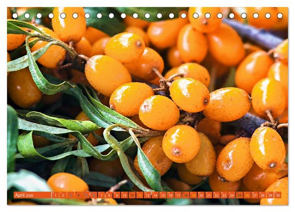Produktbild: ORANGE - Gem&uuml;se und Obst -Vitaminreich (Tischkalender 2026 DIN A5 quer), CALVENDO Monatskalender