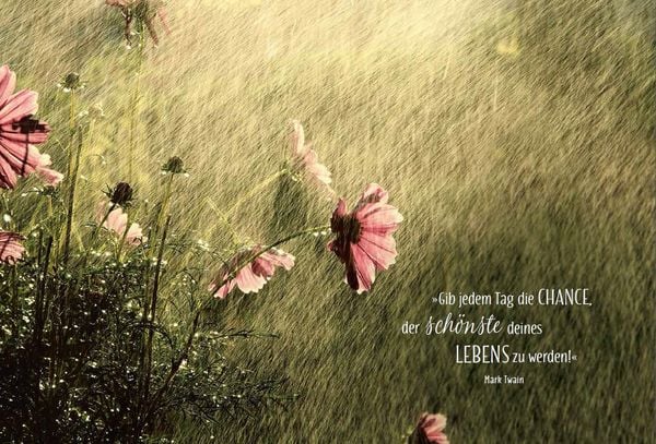 Produktbild: NOW! Lebe wild, frei und wunderbar