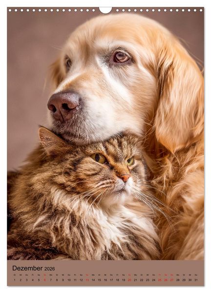 Produktbild: Freundschaftskalender - Katzen und Hunde, beste Freunde in Umarmung (Wandkalender 2026 DIN A3 hoch), CALVENDO Monatskalender