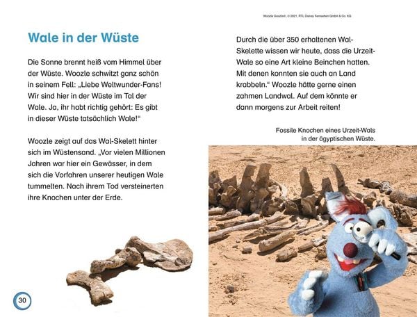 Produktbild: SUPERLESER! Woozle Goozle Wunder der Welt