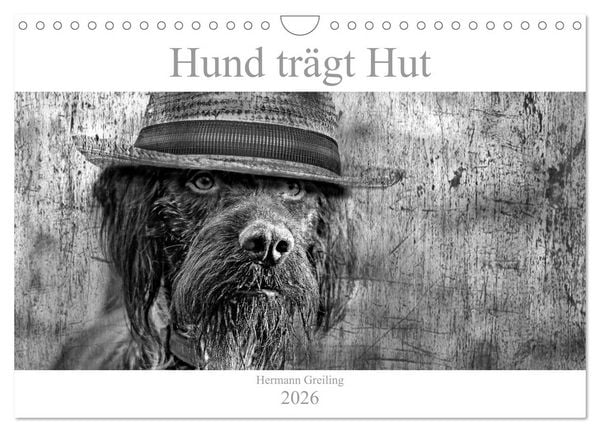 Produktbild: Hund tr&auml;gt Hut (Wandkalender 2026 DIN A4 quer), CALVENDO Monatskalender