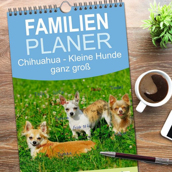 Produktbild: Familienplaner 2026 - Chihuahua - Kleine Hunde ganz gro&szlig; mit 5 Spalten (Wandkalender, 21 x 45 cm) CALVENDO