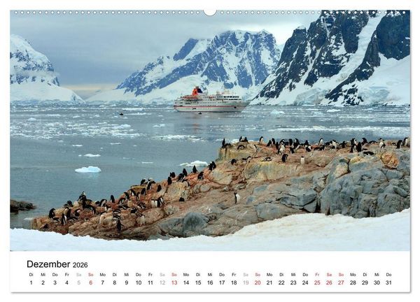 Produktbild: Im Reich der Pinguine (Wandkalender 2026 DIN A2 quer), CALVENDO Monatskalender