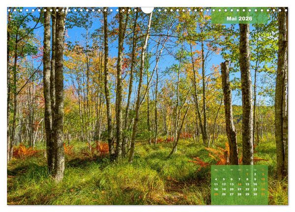 Produktbild: New England - Vielfalt einer Region (Wandkalender 2026 DIN A3 quer), CALVENDO Monatskalender