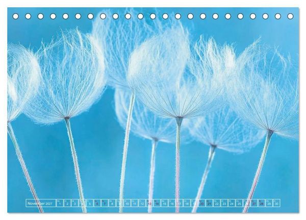 Produktbild: Lichtspiele der Natur (Tischkalender 2027 DIN A5 quer), CALVENDO Monatskalender