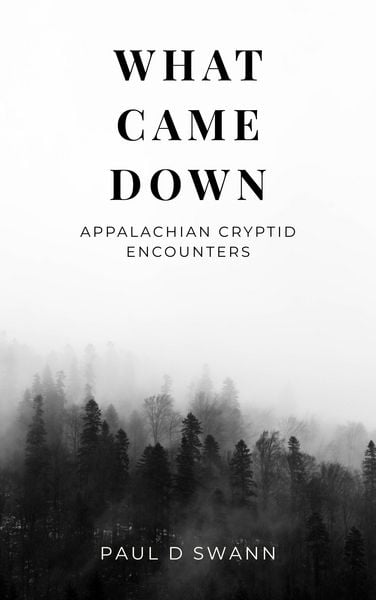 Produktbild: What Came Down