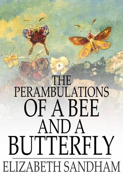Produktbild: Perambulations of a Bee and a Butterfly