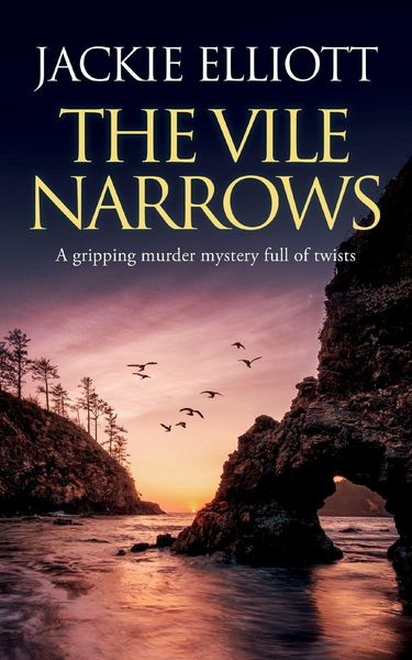 Produktbild: THE VILE NARROWS a gripping murder mystery full of twists
