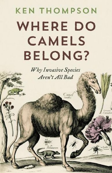 Produktbild: Where Do Camels Belong?