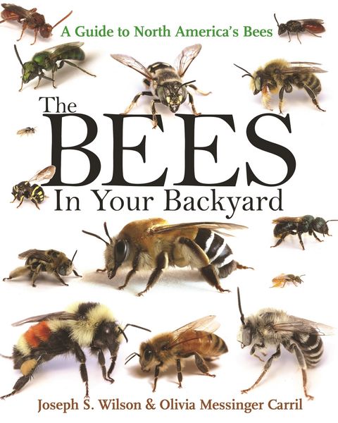Produktbild: The Bees in Your Backyard