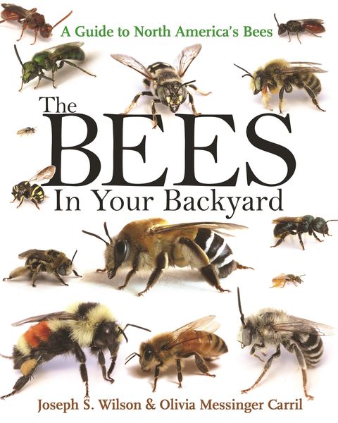 Produktbild: The Bees in Your Backyard