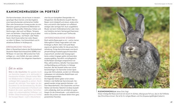 Produktbild: Kaninchen im Au&szlig;engehege