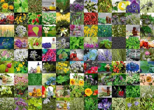 Produktbild: Erwachsenenpuzzle 1000 Teile - 99 Kr&auml;uter und Gew&uuml;rze