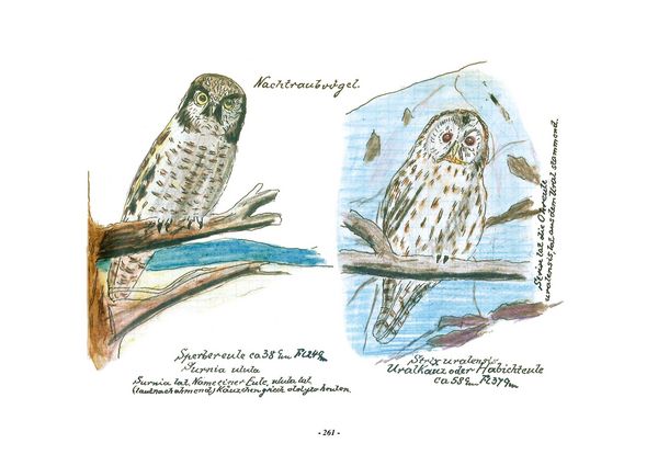 Produktbild: Das Vogel-Album. 1950