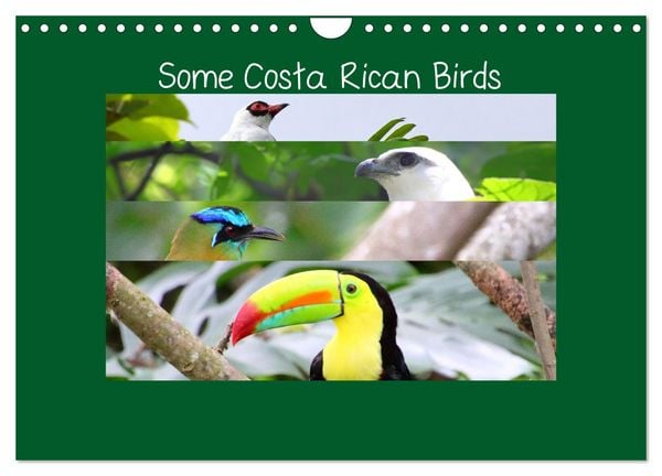 Produktbild: Some Costa Rican Birds (Wall Calendar 2026 DIN A4 landscape), CALVENDO 12 Month Wall Calendar