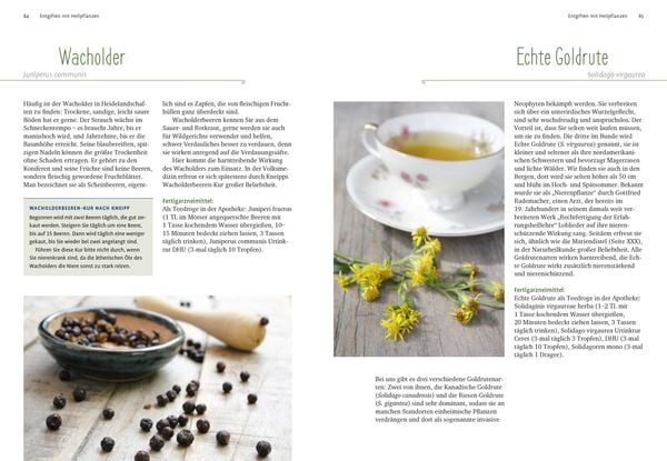 Produktbild: Entgiften mit Heilpflanzen