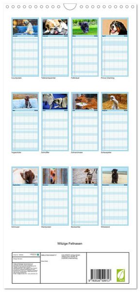 Produktbild: Familienplaner 2026 - Witzige Fellnasen mit 5 Spalten (Wandkalender, 21 x 45 cm) CALVENDO