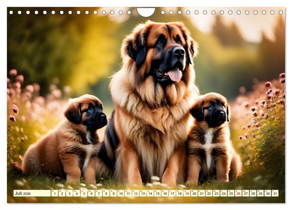 Produktbild: Giganten der Hundwelt (Wandkalender 2026 DIN A4 quer), CALVENDO Monatskalender