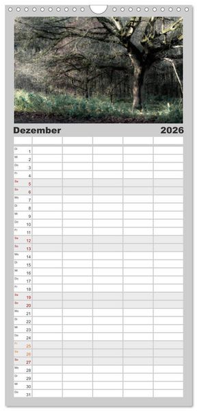 Produktbild: Familienplaner 2026 - Mystische W&auml;lder mit 5 Spalten (Wandkalender, 21 x 45 cm) CALVENDO