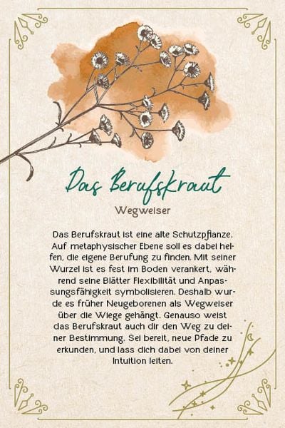 Produktbild: Orakel-Karten-Box: Naturmomente f&uuml;r deine Seele: Nutze die Kraft der gr&uuml;nen Magie