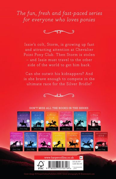 Produktbild: Storm and the Silver Bridle