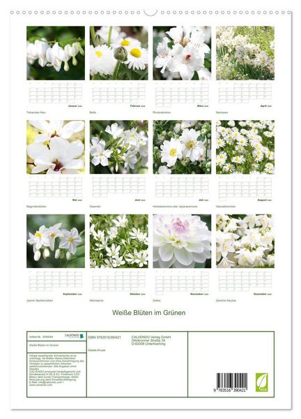 Produktbild: Wei&szlig;e Bl&uuml;ten im Gr&uuml;nen (hochwertiger Premium Wandkalender 2026 DIN A2 hoch), Kunstdruck in Hochglanz