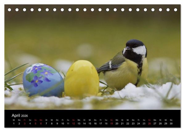 Produktbild: Singv&ouml;gel in Deutschland (Tischkalender 2026 DIN A5 quer), CALVENDO Monatskalender