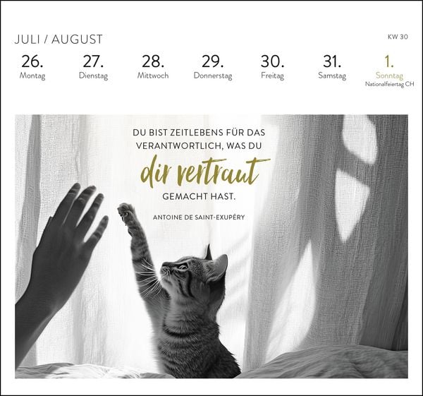 Produktbild: Postkartenkalender 2027: Inspirierende Worte f&uuml;r Katzenfreunde