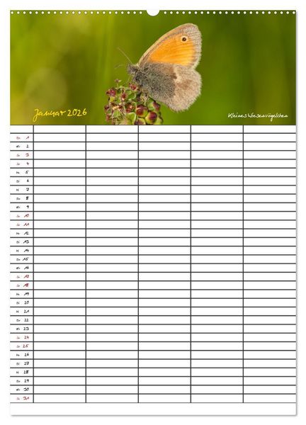 Produktbild: Schmetterlinge in Bayern (Wandkalender 2026 DIN A2 hoch), CALVENDO Monatskalender