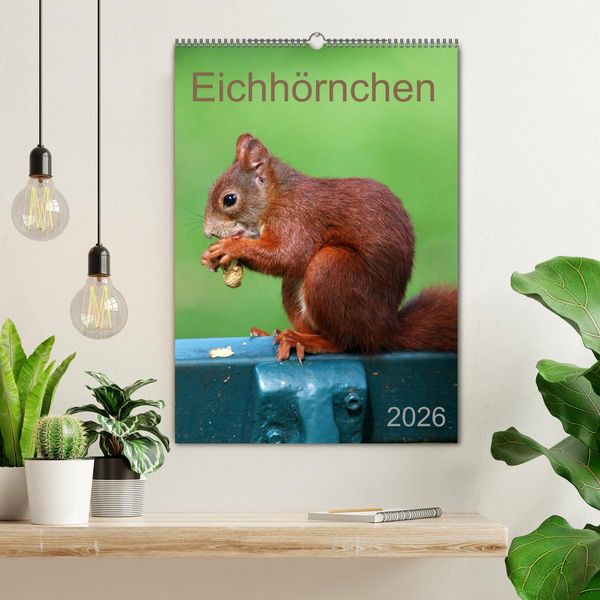 Produktbild: Eichh&ouml;rnchen (Wandkalender 2026 DIN A2 hoch), CALVENDO Monatskalender