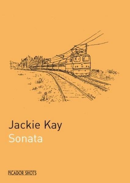 Produktbild: Picador Shots - 'sonata'