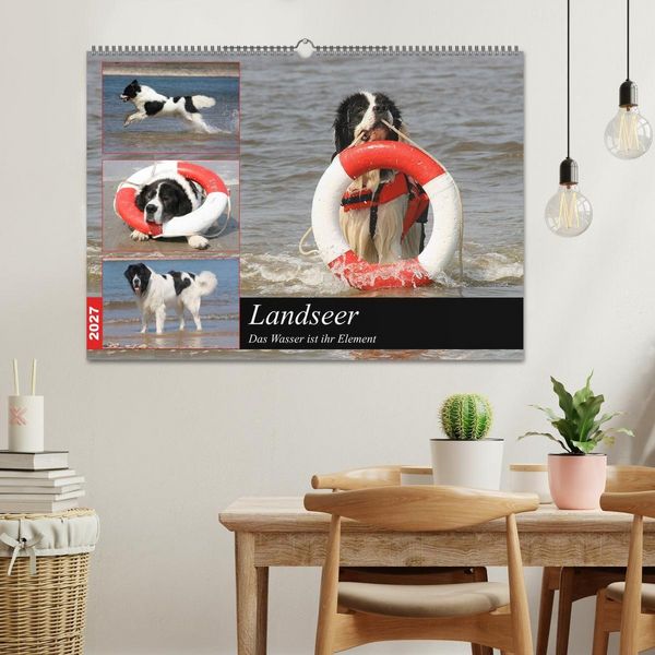 Produktbild: Landseer - Das Wasser ist ihr Element (Wandkalender 2027 DIN A2 quer), CALVENDO Monatskalender