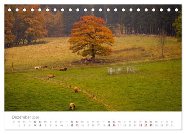 Produktbild: Wundersch&ouml;ne B&auml;ume im Sauerland (Tischkalender 2026 DIN A5 quer), CALVENDO Monatskalender