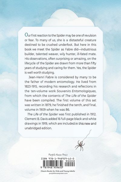 Produktbild: The Life of the Spider