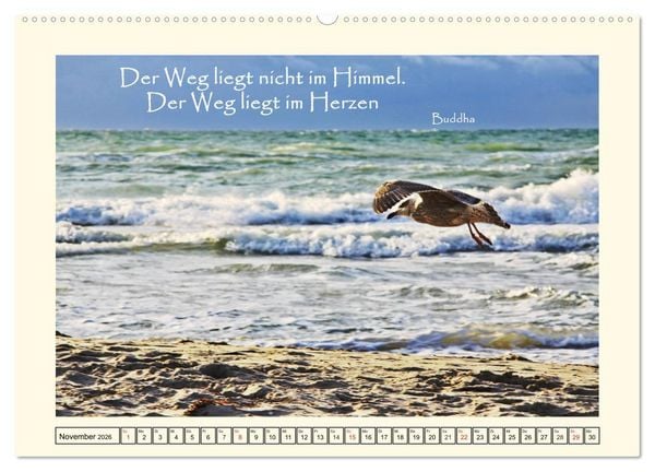 Produktbild: Zitate und Weisheiten (Wandkalender 2026 DIN A2 quer), CALVENDO Monatskalender