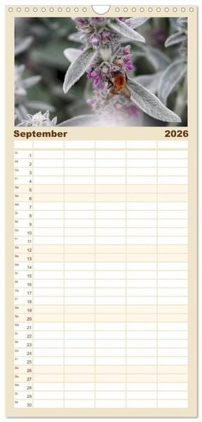 Produktbild: Familienplaner 2026 - Hummelflug mit 5 Spalten (Wandkalender, 21 x 45 cm) CALVENDO