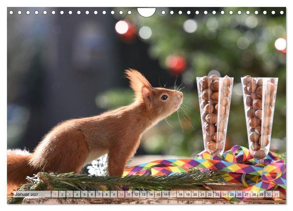 Produktbild: Eichh&ouml;rnchen-Spa&szlig; (Wandkalender 2027 DIN A4 quer), CALVENDO Monatskalender