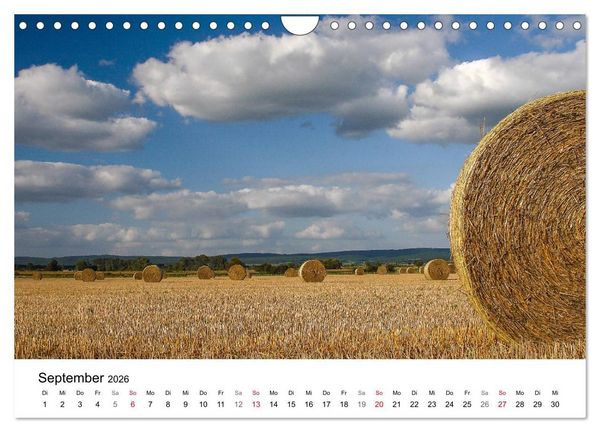 Produktbild: Paderborn - Die sch&ouml;nsten Seiten der Stadt (Wandkalender 2026 DIN A4 quer), CALVENDO Monatskalender