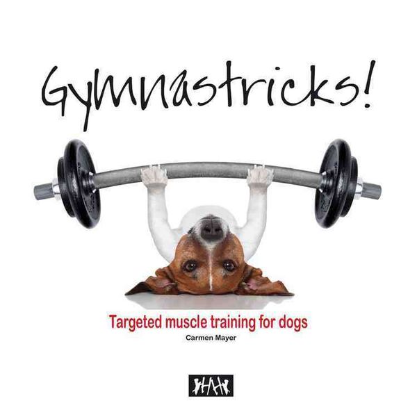 Produktbild: Mayer, C: Gymnastricks