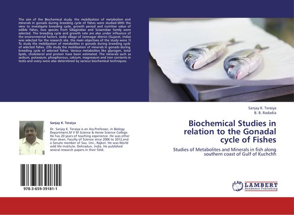 Produktbild: Biochemical Studies in relation to the Gonadal cycle of Fishes