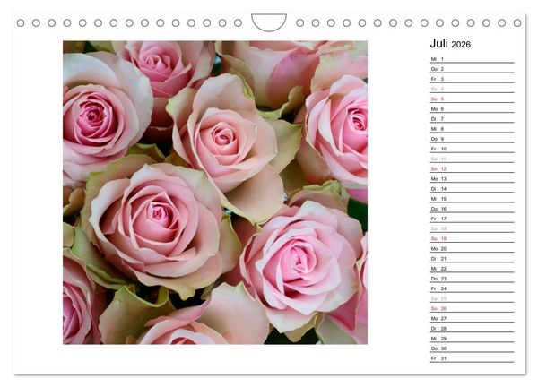 Produktbild: Die vielen Gesichter der Rosen (Wandkalender 2026 DIN A4 quer), CALVENDO Monatskalender