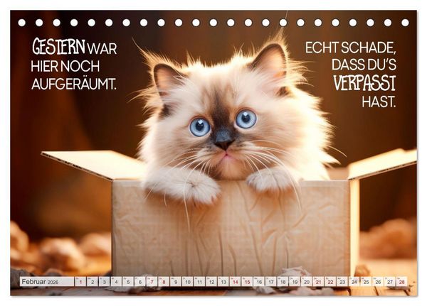 Produktbild: KATZEN-IRONIE Lach mal wieder (Tischkalender 2026 DIN A5 quer), CALVENDO Monatskalender