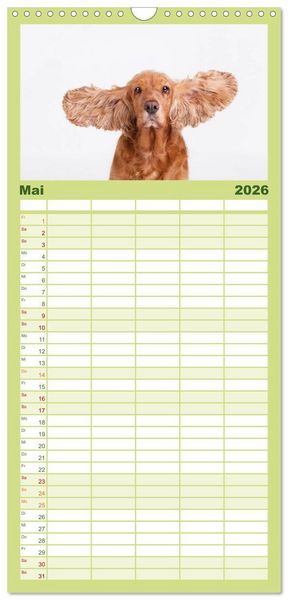 Produktbild: Familienplaner 2026 - SCHLAPPOHREN mit 5 Spalten (Wandkalender, 21 x 45 cm) CALVENDO